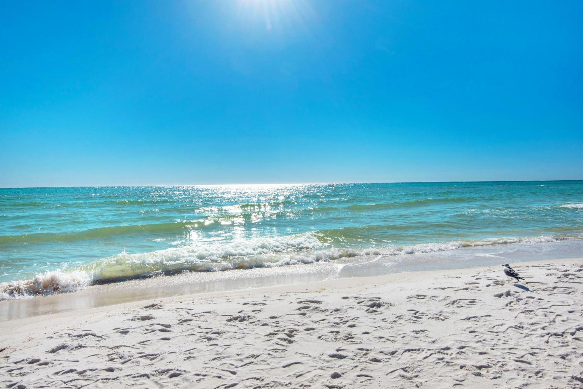 Shores Of Panama 1816 Panama City Beach Bagian luar foto
